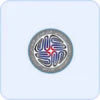 Organizational-1-e1749469597331