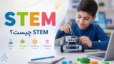 STEM چیست؟